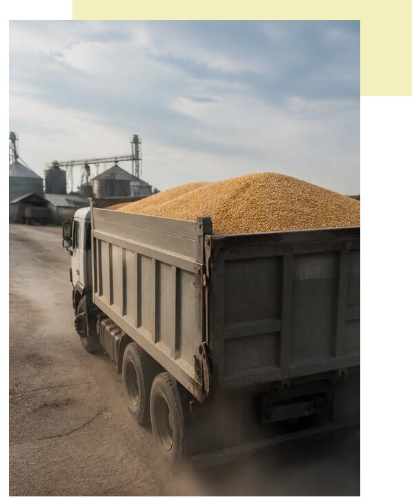 Перевозка сельхозпродукции навалом в Пермь по цене от 3213 р. | Агросервис-Прм